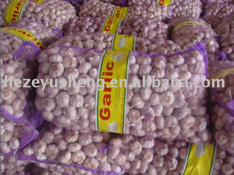 2011 fresh 20kg mesh bag garlic