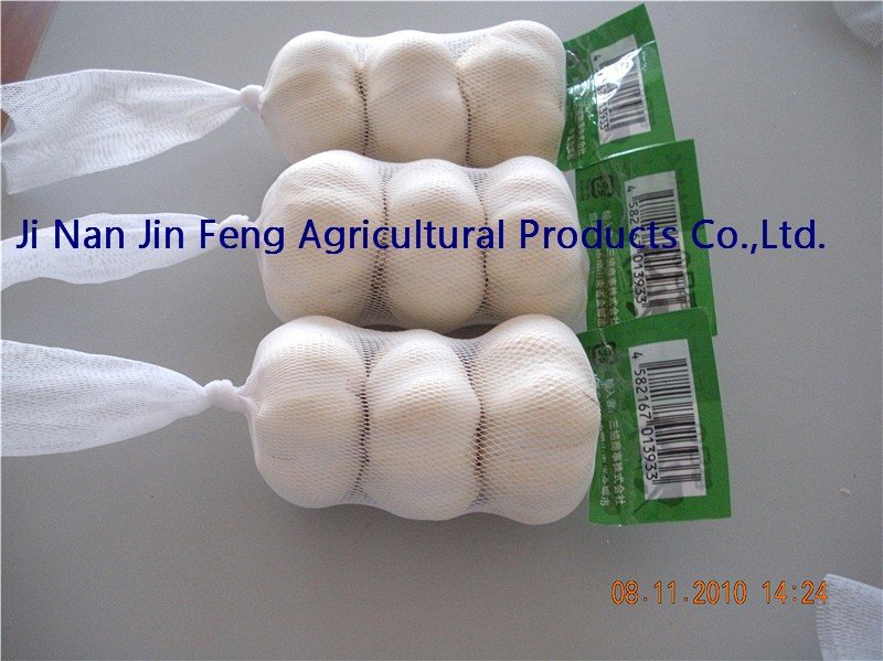 jinxiang  white garlic
