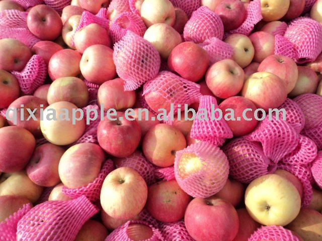 fresh red shandong fuji apple