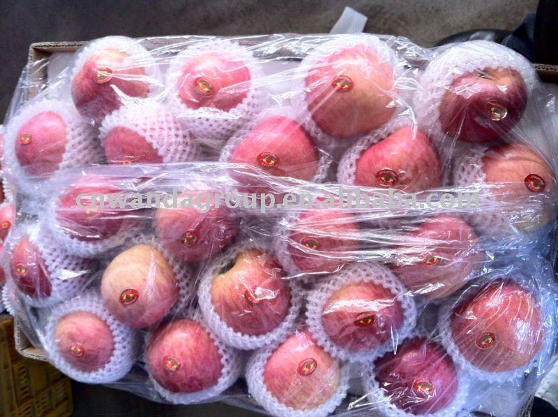 chinese fuji red apple