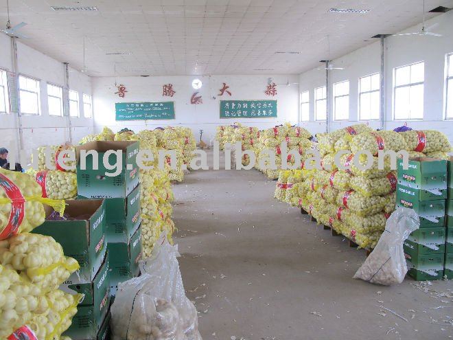 White  Garlic 20KG/MESH BAG