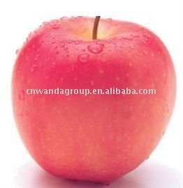 nice red yantai fuji apple