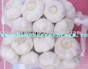 Pure  White Garlic Packed in Mesh Bags