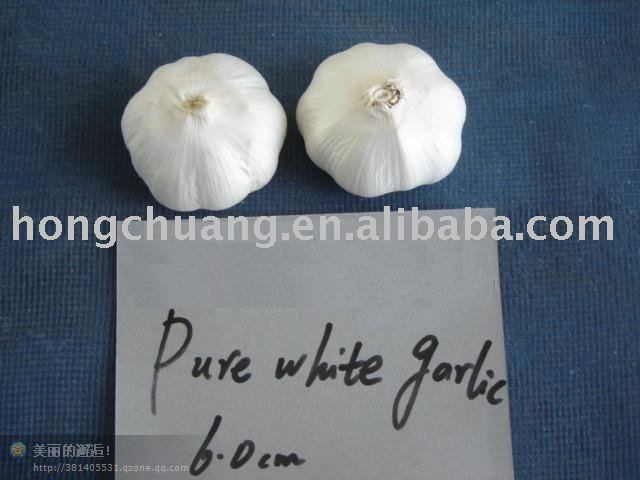 pure white  garlic    Shangdong 