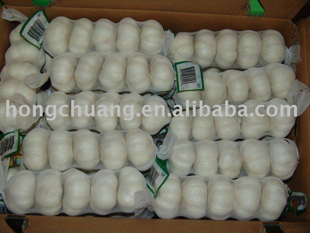 pure white  garlic    Shandong 