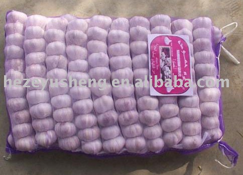 mesh bag fresh garlic 10kg