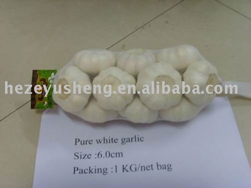 1kg garlic in mesh bag 10kg packaging
