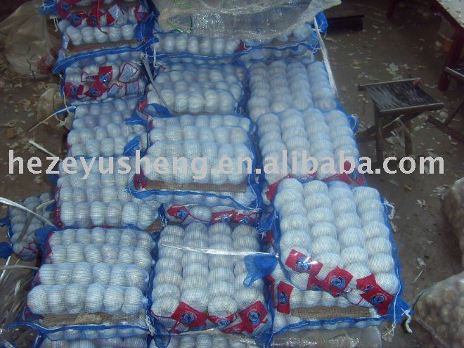 10kg fresh mesh bag garlic