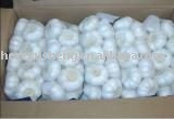 1kg garlic in 10kg carton bulk garlic