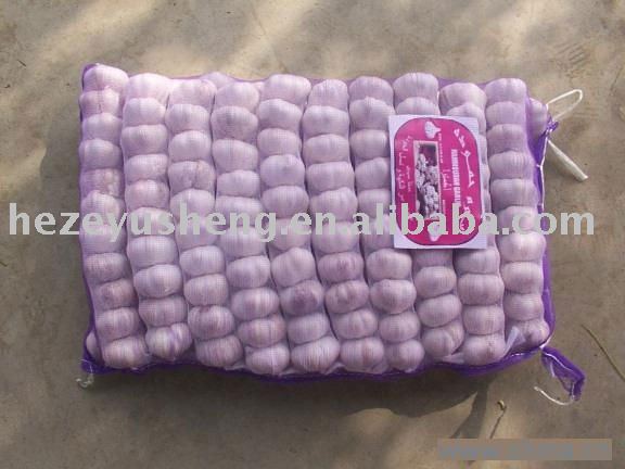 1kg garlic in 10kg mesh bag 2011 new crop