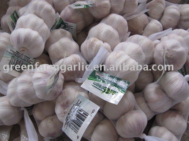 5.0cm Fresh Normal Garlic
