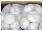 1kg mesh bag garlic in 10kg mesh bag 2011 garlic