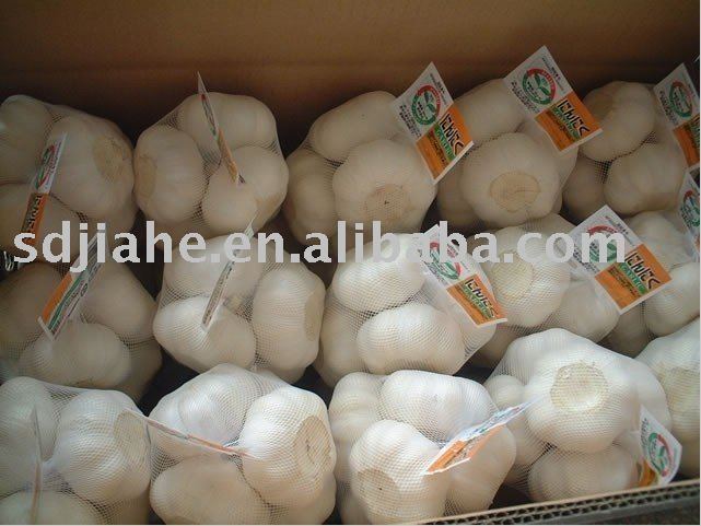 Chinese  garlic ,jinxiang  garlic , laiwu   garlic 