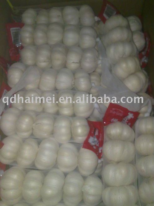CHINESE FRESH NORMAL GARLIC