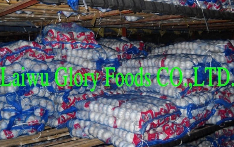 2010  fresh white garlic,pizhou garlic