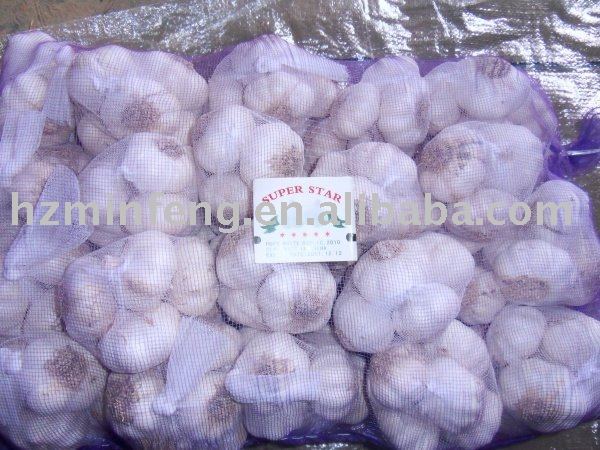 Chinese Garlic and Small Packing,500g/mesh bag
