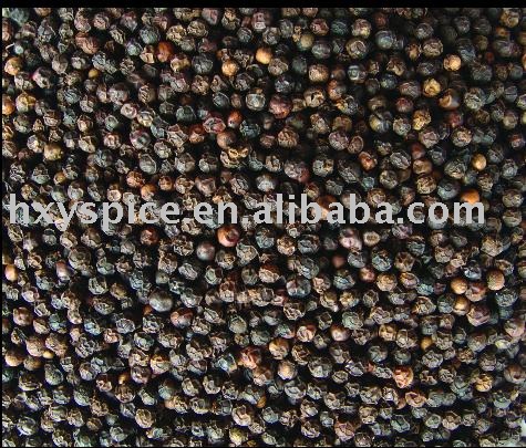 Black pepper