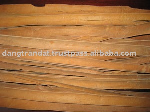 Split Cassia