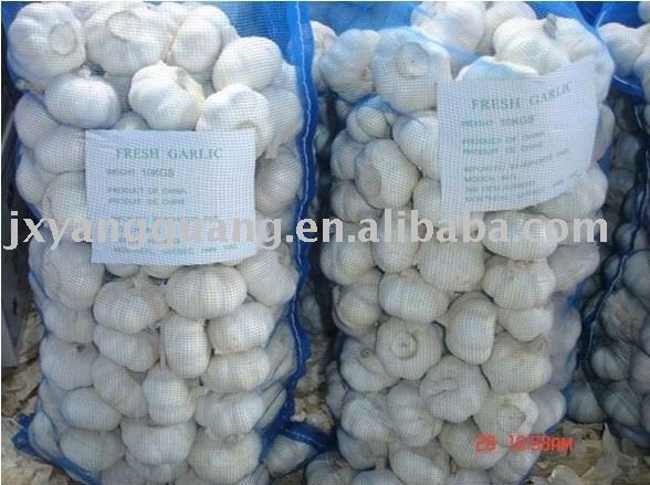 2011fresh pure white garlic in 10kg mesh bag