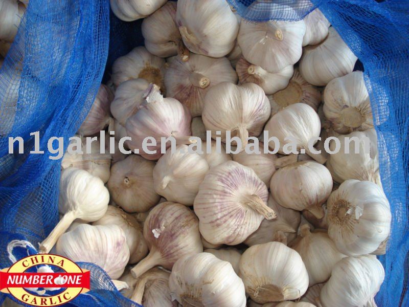 Chinese garlic (normal white) in bags