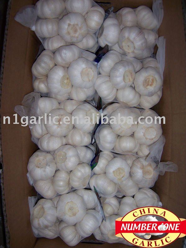 Fresh pure white garlic 500g in mesh bag