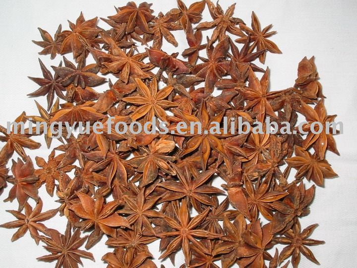 Star aniseeds