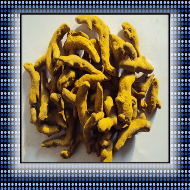 curcuma