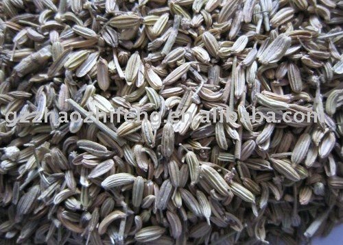 Fennel Fruit