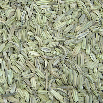 Sell Chinese Fennel Seeds