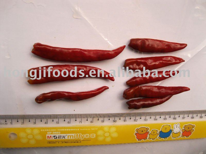 Small red chili