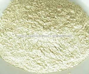 white Onion powder