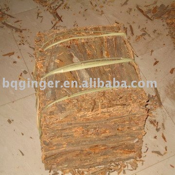 cassia broken