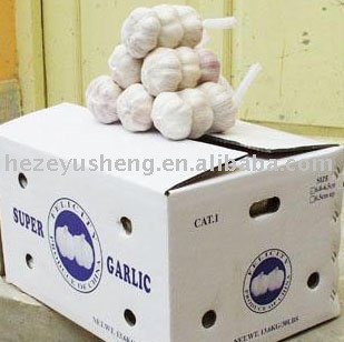 150g garlic China 3pcs fresh garlic