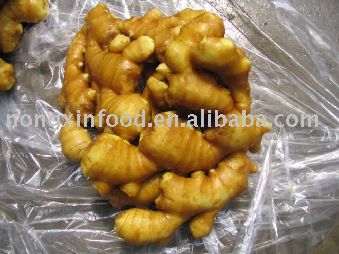 OLD CHINESE FRESH GINGER