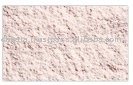 White Powder Onion