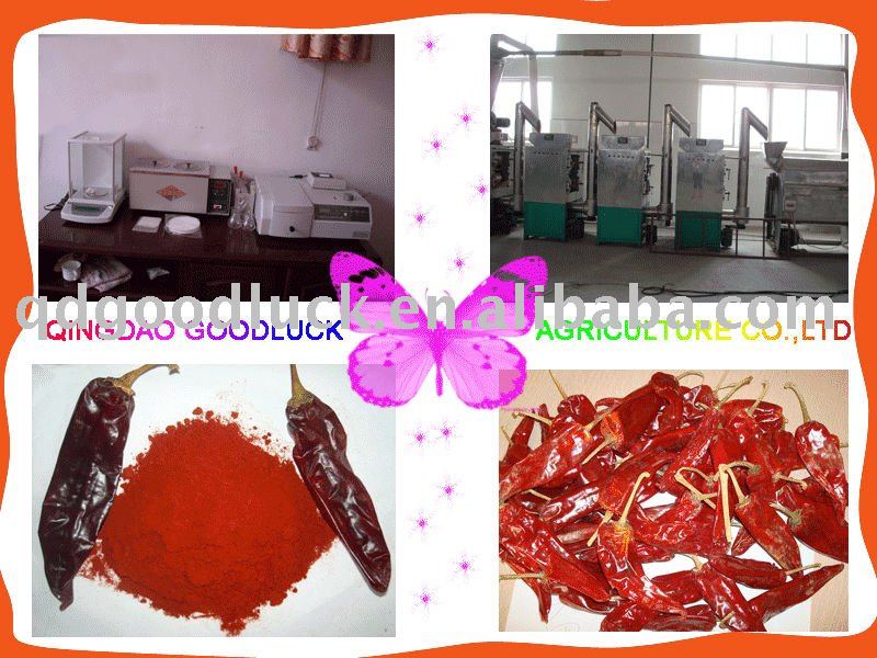 sweet paprika powder