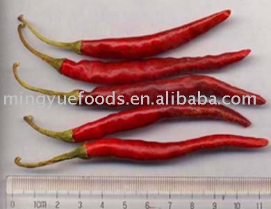 dried red chillies with stem