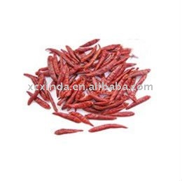 dried red chilli pepper