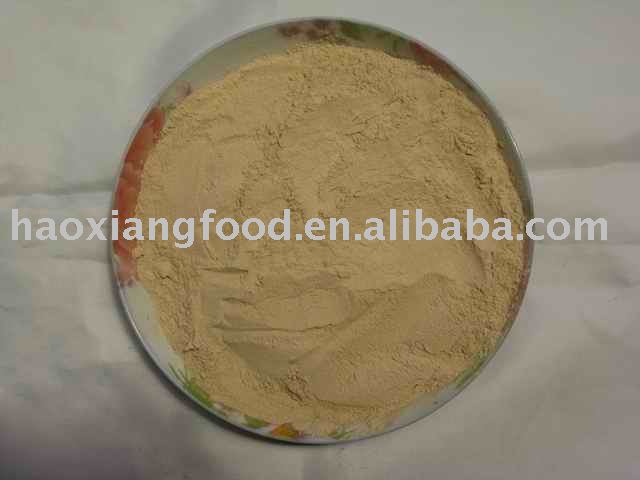 Onion Powder