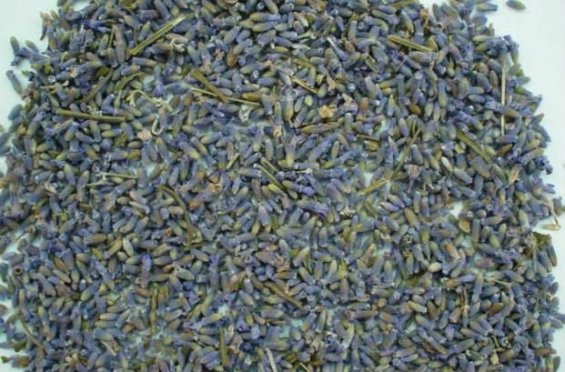 Xun Yi Cao/ Lavender/ Lavandula/ Herbal Tea