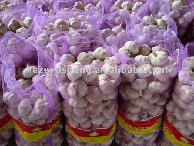 4ps of pure white  garlic approved by haccp and gap