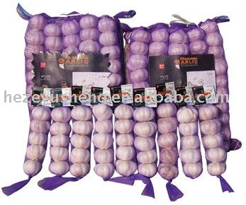 10P pure white garlic in 5kg mesh bag or carton
