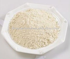 Dried garlic powder in new crop