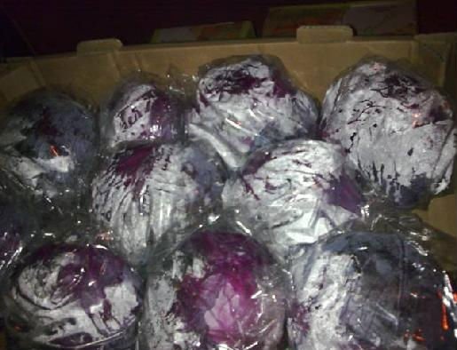FOOD PIGMENT  ORGANIC PIGMENT NATURAL COLOR