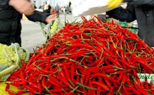 Dried Red Chilli/Capsicum Frutescens/Best Quality Best Taste