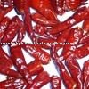 Red Chilli