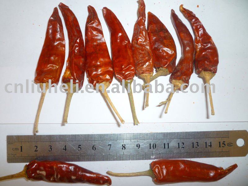 dry red hot chilli pepper& red pepper