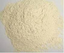  GARLIC  POWDER ( GRANULAR )
