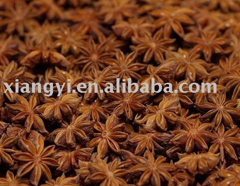 star aniseed
