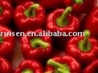 oleoresin capsicum